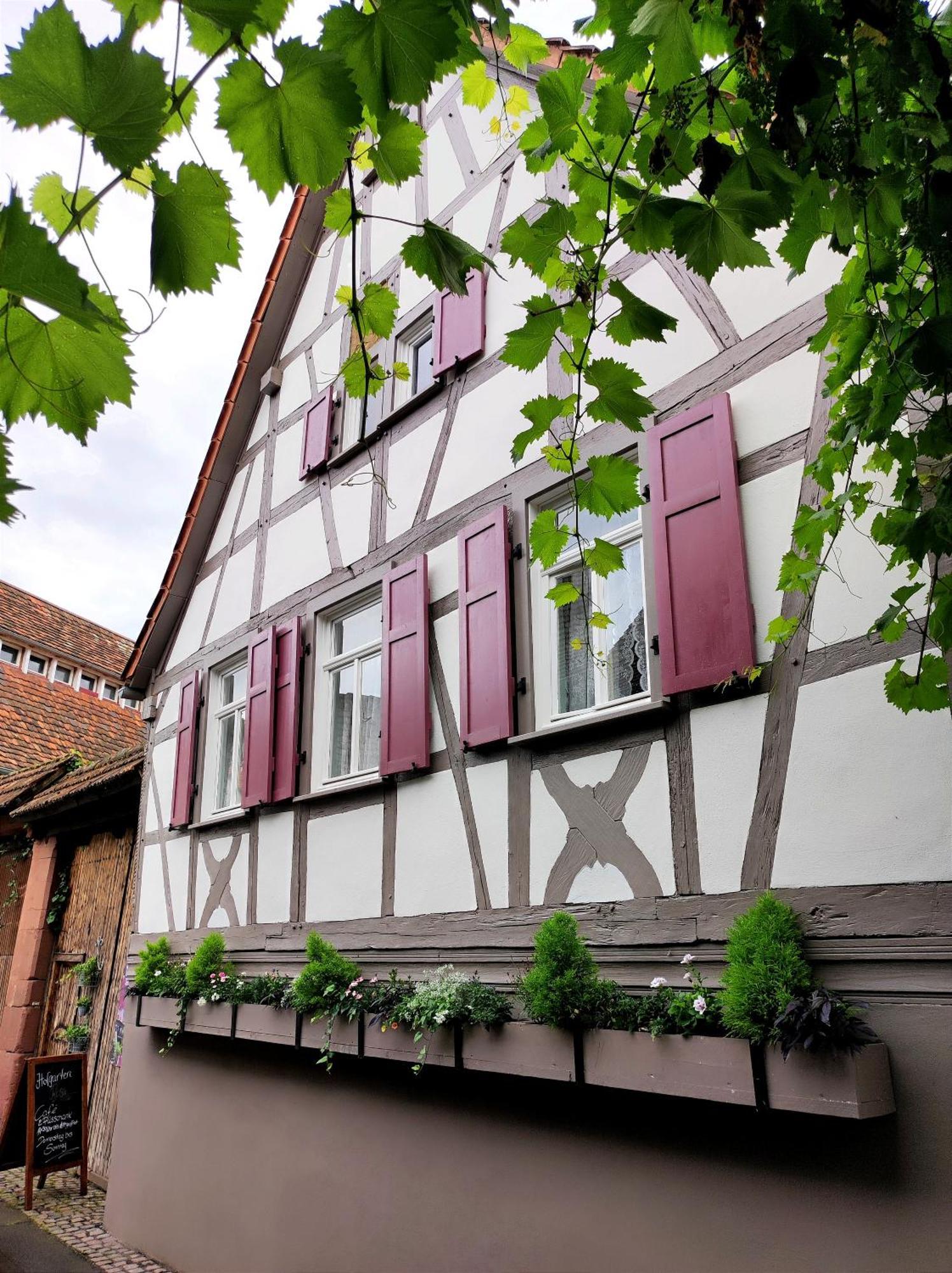 Hofgarten Rosa Ilbesheim bei Landau in der Pfalz Bagian luar foto