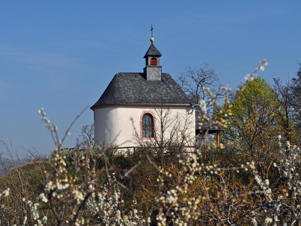 Hofgarten Rosa Ilbesheim bei Landau in der Pfalz Bagian luar foto