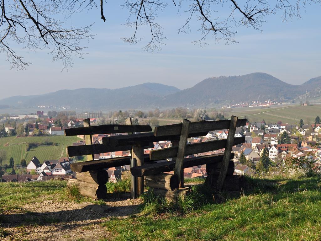 Hofgarten Rosa Ilbesheim bei Landau in der Pfalz Bagian luar foto