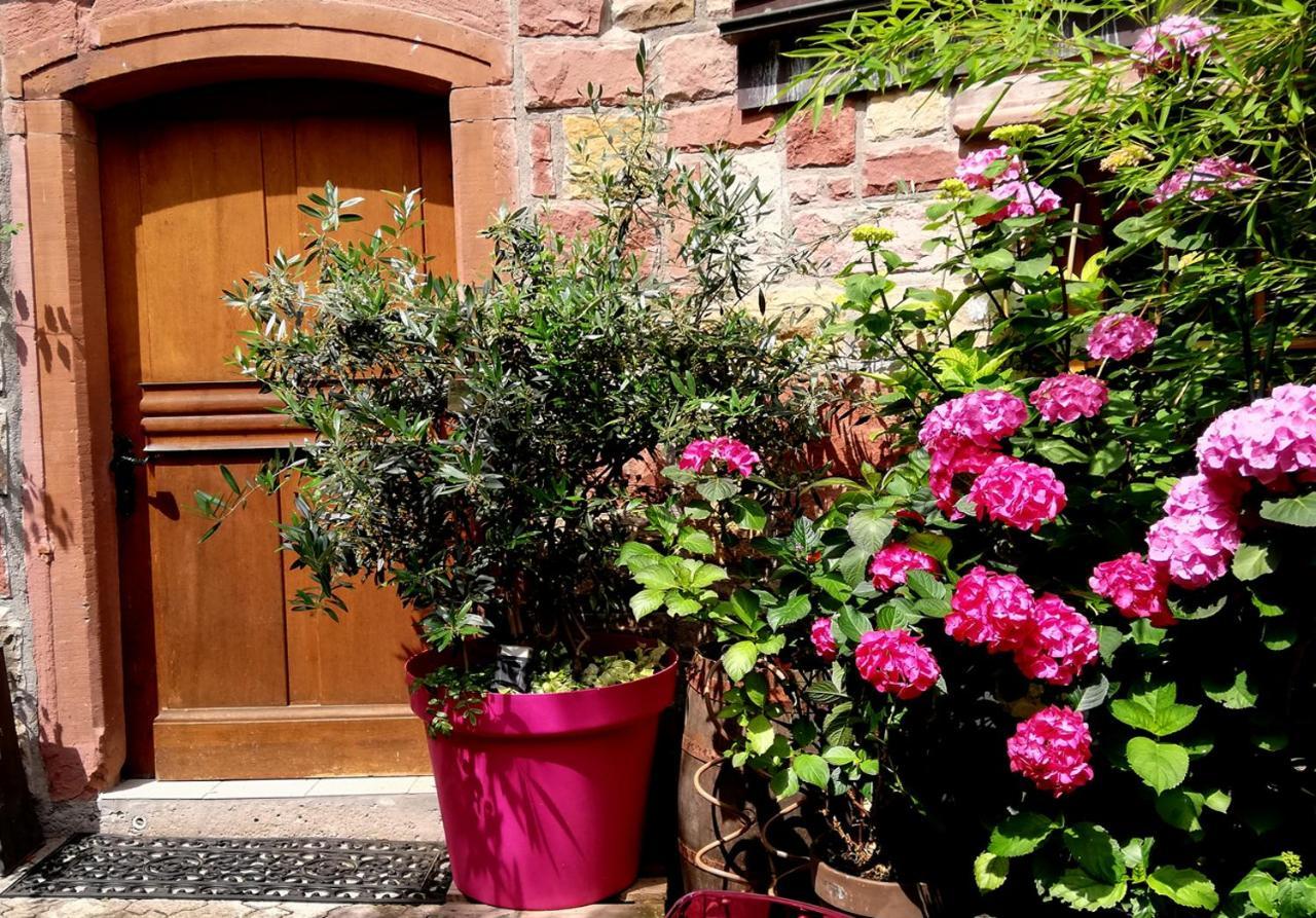 Hofgarten Rosa Ilbesheim bei Landau in der Pfalz Bagian luar foto